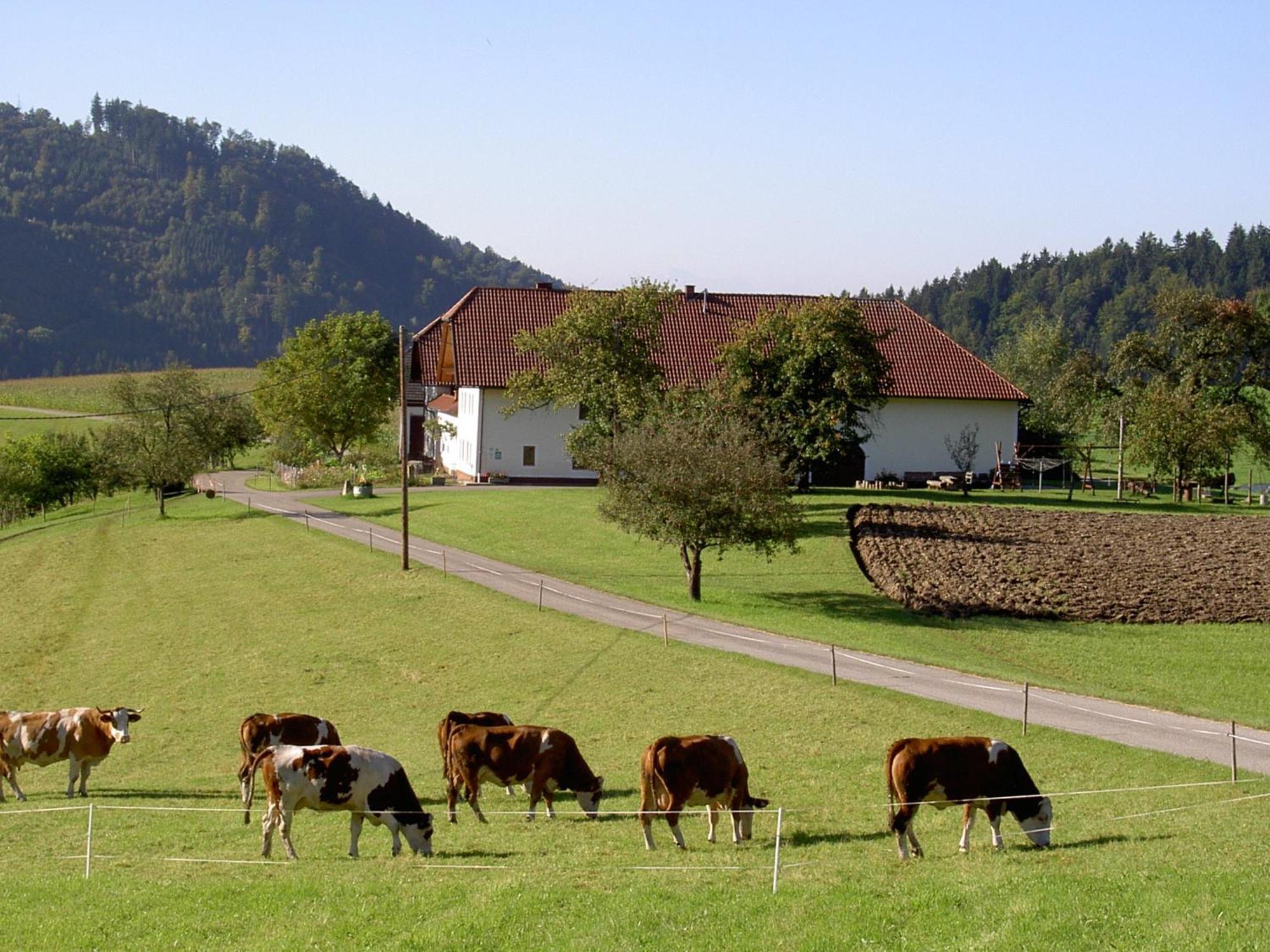 Villa Urlaub Am Bauernhof Wenigeder - Familie Klopf Gutau Exterior foto